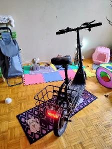 Trotinette électrique neuve!