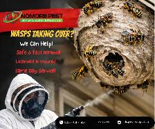 Bed Bugs, Wasps & Rodents? Fast Professional Removal