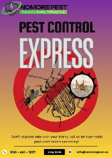 Bed Bugs, Wasps & Rodents? Fast Professional Removal - Photo 4