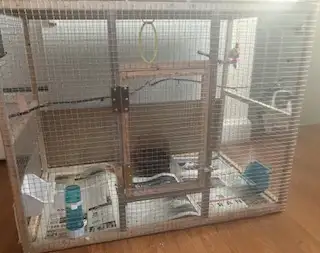 Budgie cage for sale $35