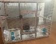 Budgie cage for sale $35