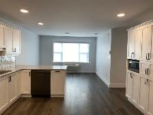 305-49 Forest Hill, Modern 1-Bed Apt Near UNB, Available July1 - Photo 3