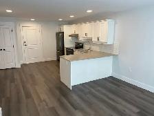 305-49 Forest Hill, Modern 1-Bed Apt Near UNB, Available July1 - Photo 4