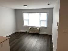 305-49 Forest Hill, Modern 1-Bed Apt Near UNB, Available July1 - Photo 6