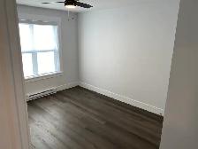 305-49 Forest Hill, Modern 1-Bed Apt Near UNB, Available July1 - Photo 13