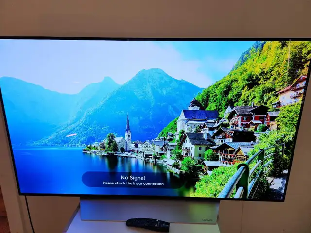 OLED LG 55' TV