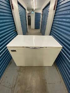 WHITE DEEP FREEZER AVAILABLE - Photo 7