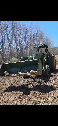 mulching and property service - Photo 3