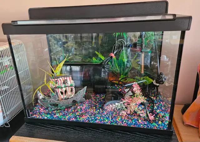 aquariums, tout equipées