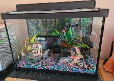 aquariums, tout equipées