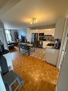 Large 5 1/2 apartment - Sud-Ouest