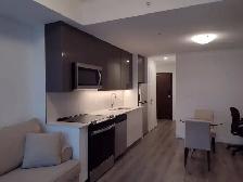 Fully Furnished 1 Bedroom Apartment in Downtown Kitchener - Photo 5