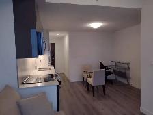 Fully Furnished 1 Bedroom Apartment in Downtown Kitchener - Photo 6