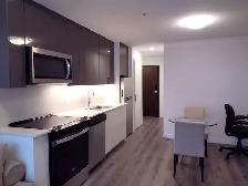 Fully Furnished 1 Bedroom Apartment in Downtown Kitchener - Photo 7