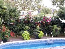 queensize private accomodations in exe  home with outdoor pool