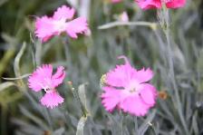 Purchase - Direct and Save! - Photo 8