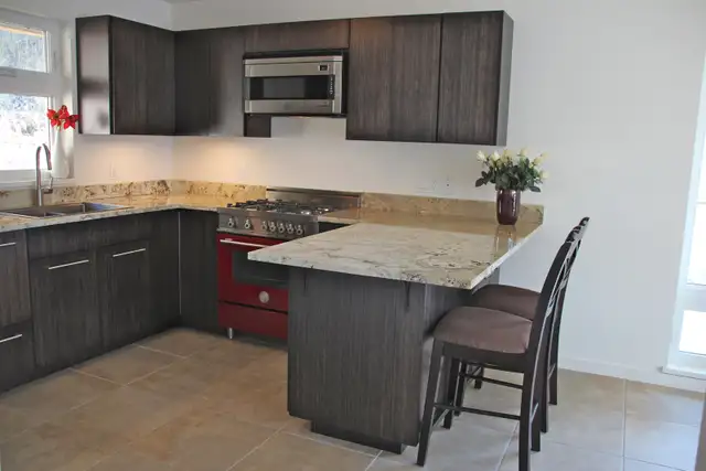 One Bedroom Lakeview suite for rent - Photo 2