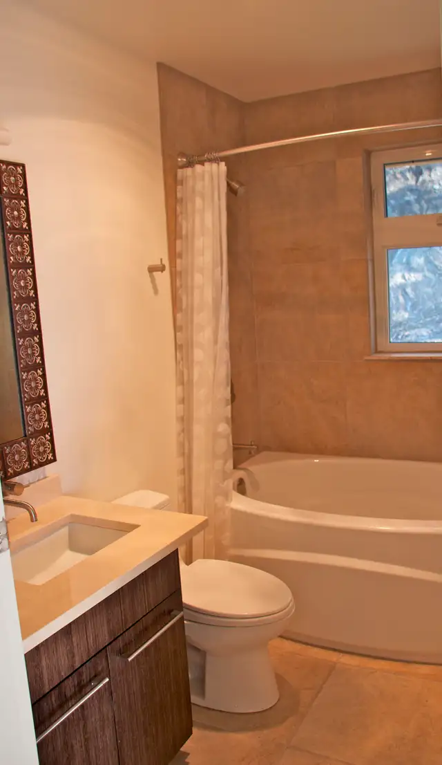 One Bedroom Lakeview suite for rent - Photo 4