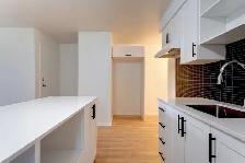 3 1/2 Style-Condo rénové à Mirabel (St-Janvier) - Juillet - Photo 2