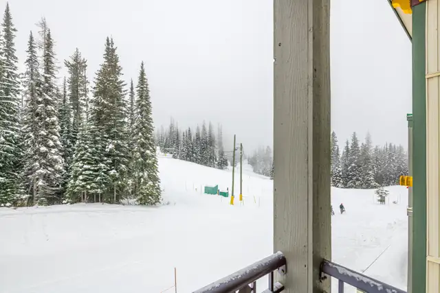 Fully Furnished Silver Star Condo -Mid April-Mid Nov. - Photo 10