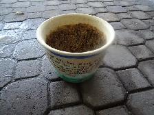 pot à fleur - Photo 2