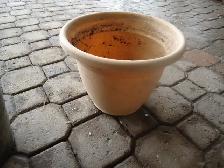 pot à fleur - Photo 8