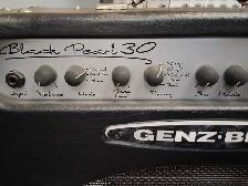 Genz Benz Black Pearl 30 Tube Amp w/foot switch - Photo 5