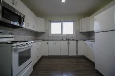 BIG 3 BEDROOM Suite for Rent in East Kildonan, Winnipeg - Photo 3