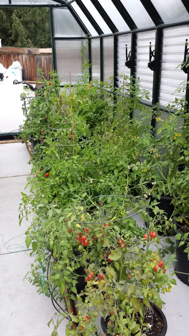 100% Organic Fertilizer - Photo 5