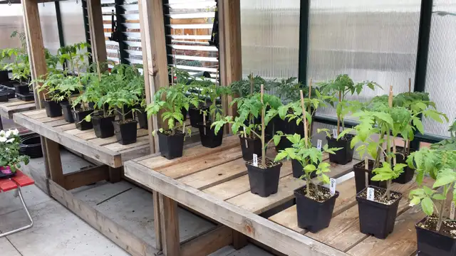 100% Organic Fertilizer - Photo 6