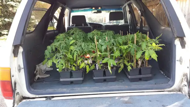 100% Organic Fertilizer - Photo 8