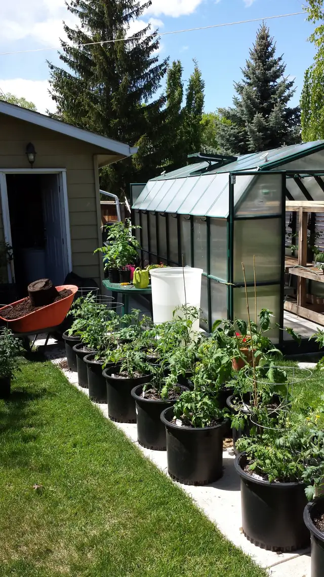 100% Organic Fertilizer - Photo 9