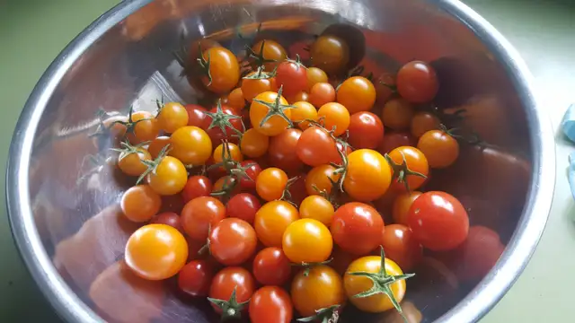 100% Organic Fertilizer - Photo 10