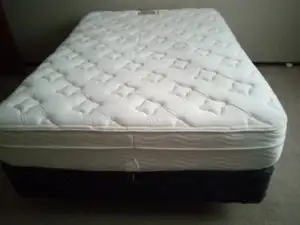 Bed, Box Spring and   Frame $80.00