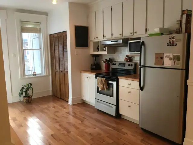 Plateau Mont-Royal, charmant 4 1/2 rénové/renovated - Photo 3