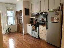 Plateau Mont-Royal, charmant 4 1/2 rénové/renovated - Photo 3