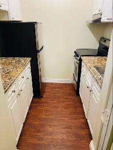 1 bedroom Available May 1st at Maryon Manor in Coquitlam! - Photo 4