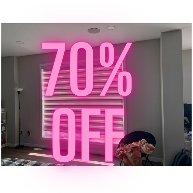 Huge Savings on Custom Zebra Blinds!