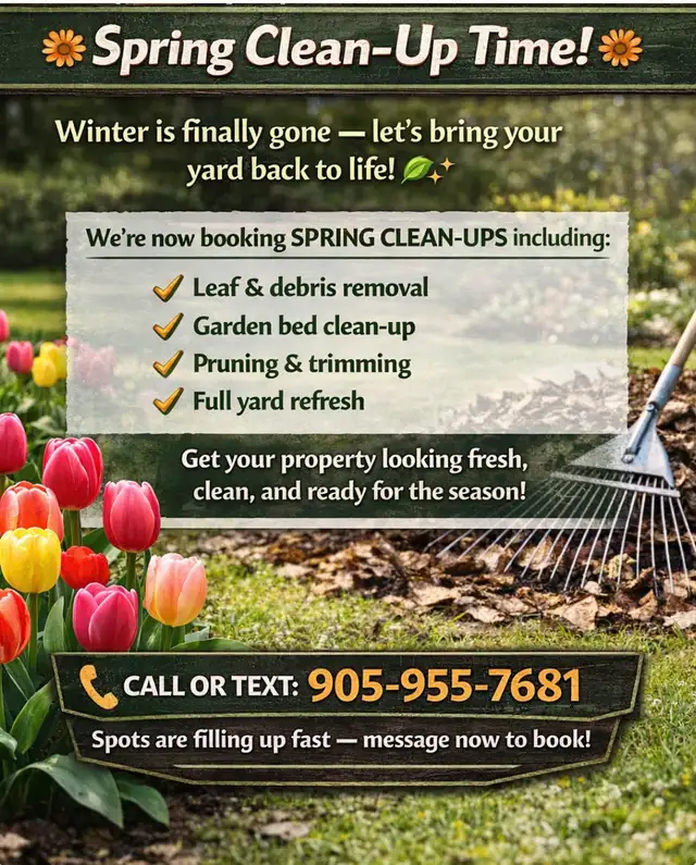 spring clean up