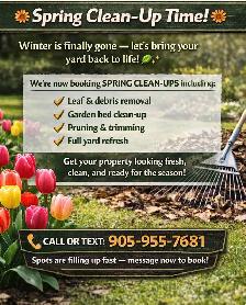 spring clean up