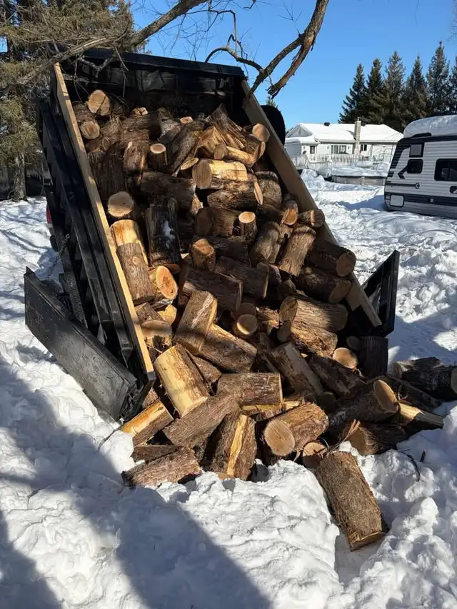 6x10 3.5 ton Dump Trailer - Photo 2