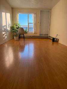 One room for Rent in Bright 2-Bedroom Apartment (Clayton Park)