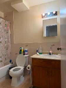 One room for Rent in Bright 2-Bedroom Apartment (Clayton Park) - Photo 7