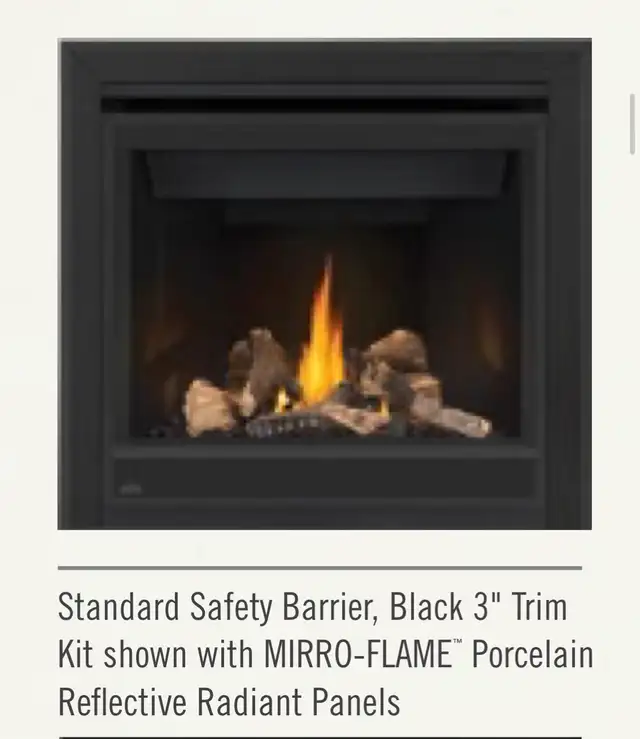 Napoleon acsent 42 gas fireplace.