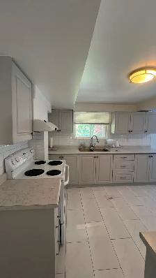 Bright and spacious basement apartment - Photo 3