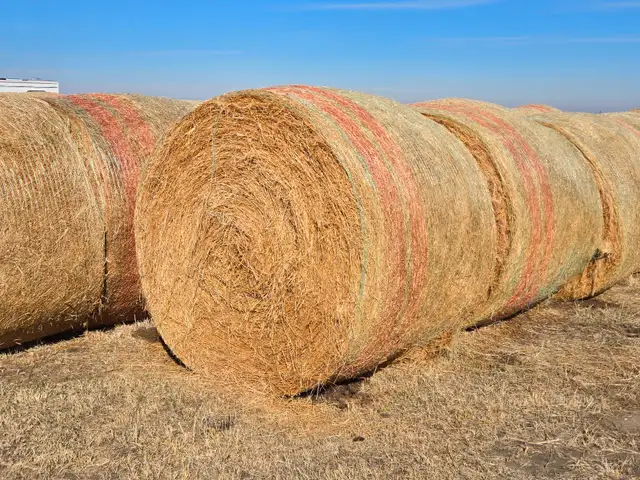 2025 Flax straw bales, round, 150 , $30/bale