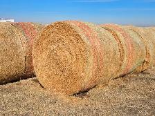 2025 Flax straw bales, round, 150 , $30/bale
