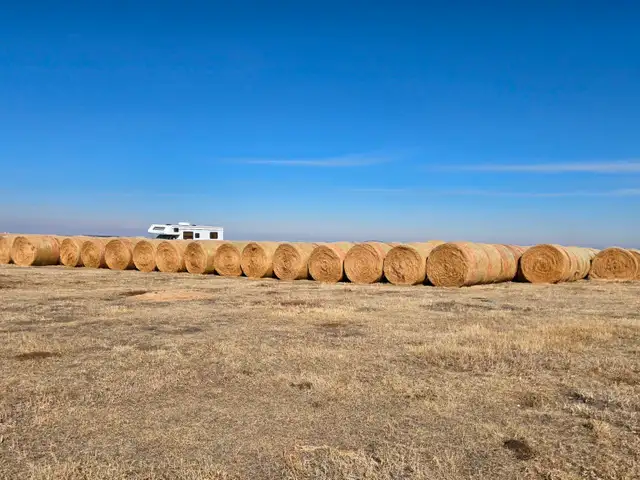 2025 Flax straw bales, round, 150 , $30/bale - Photo 2