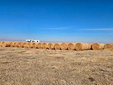 2025 Flax straw bales, round, 150 , $30/bale - Photo 2