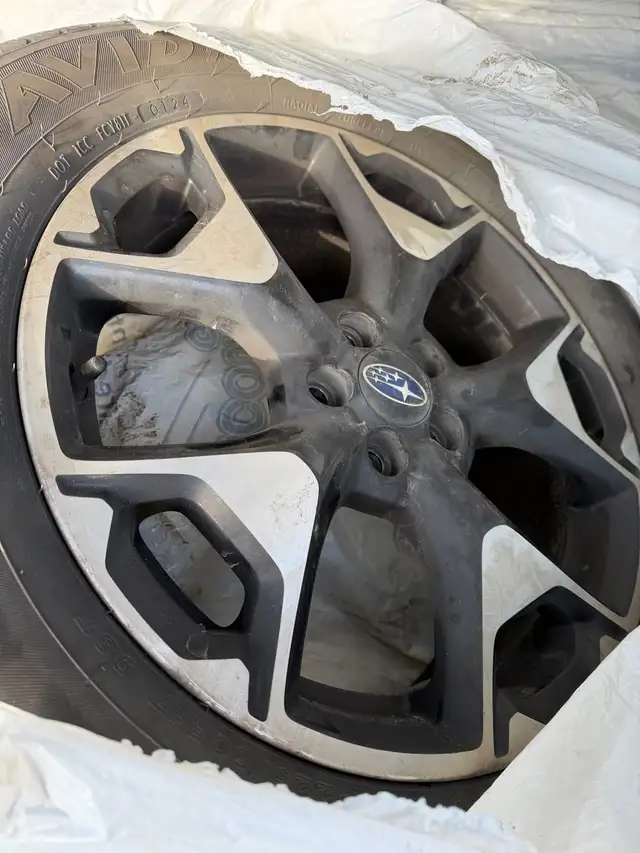 2019 Subaru crosstrek - Photo 10